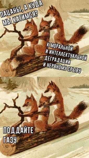 Картинки для деградации 8 ( разной степени свежести)