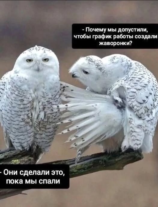 Картинки Понедельника