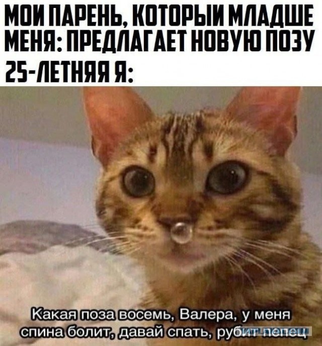 Картинки для деградации 153 (разной степени свежести)