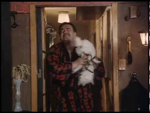 Давай купим собачку