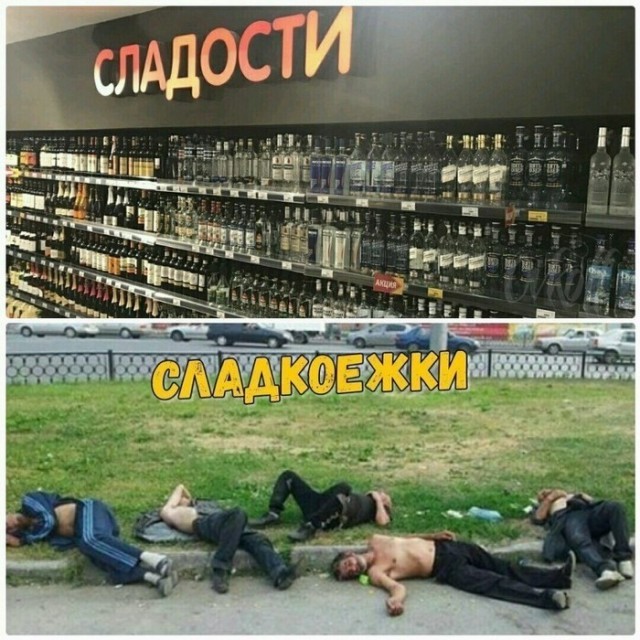 Картинки для деградации 288 (разной степени свежести)