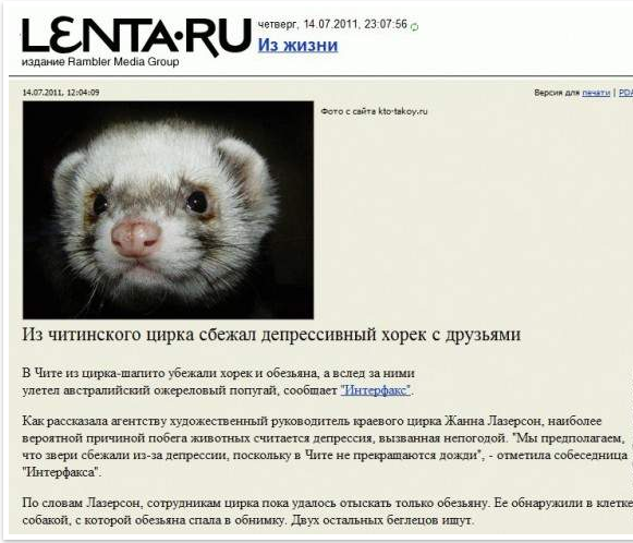 Смешные комментарии из социальных сетей
