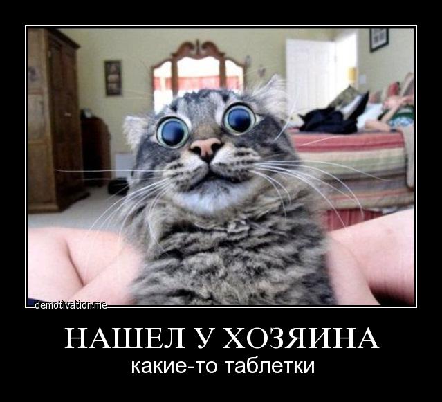 Мой хозяин - странная личность.