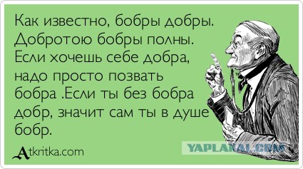 Когда вы плюсуeтe тему в платине