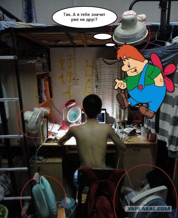 Жажда прохлады