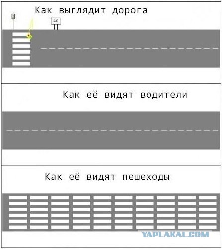 Дорога... Вот откуда все проблемы.