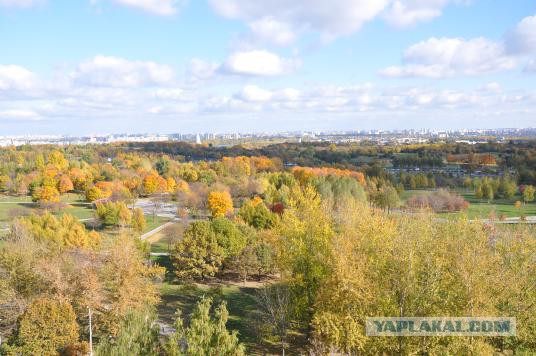 А что у Вас сейчас?