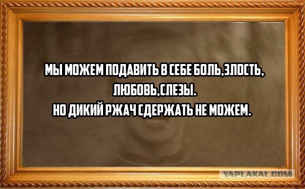 Смешные картинки