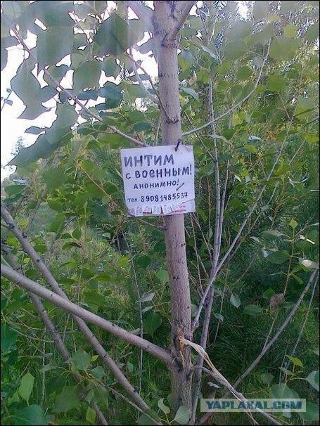 Надписи, таблички, маразмы