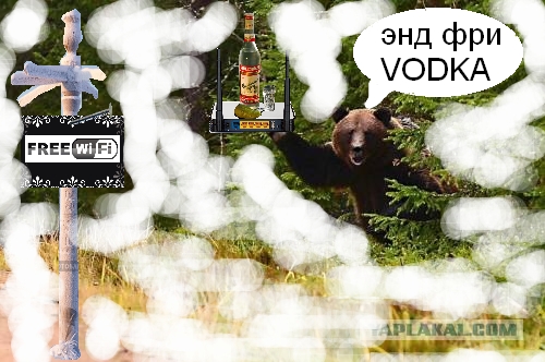 Вся сущность Сибири в одной картинке