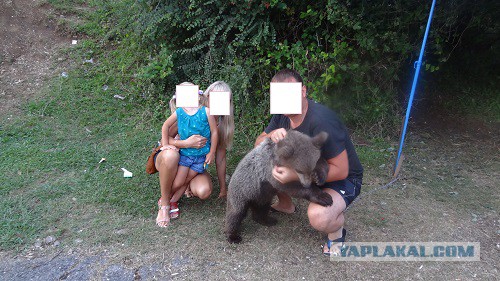 Свой взгляд на Абхазию или отдых строгого режима