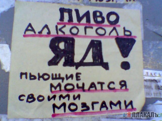 ОБЪЯВЛЕНИЯ. На стенах, в газетах, афиши.