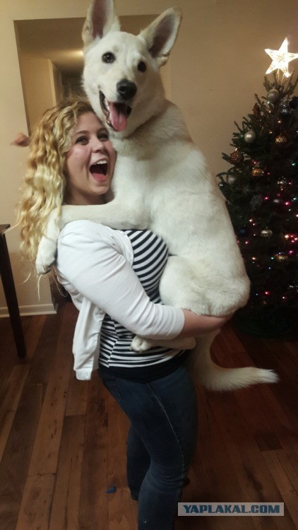 Разные картинки