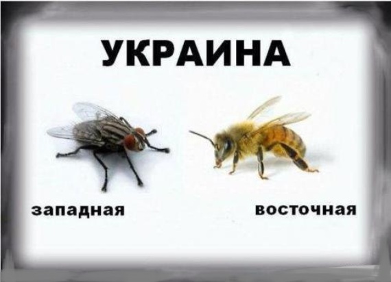 10 политических картинок часть 22