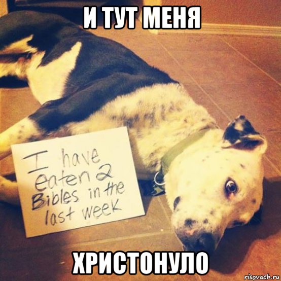 Стыдоба-то какая...