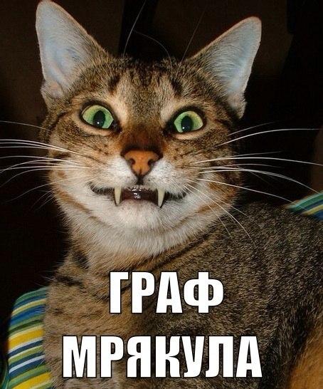 Мохнатые беспредельщики