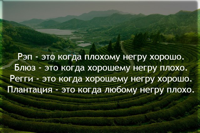 Шуточки от весёлого повара