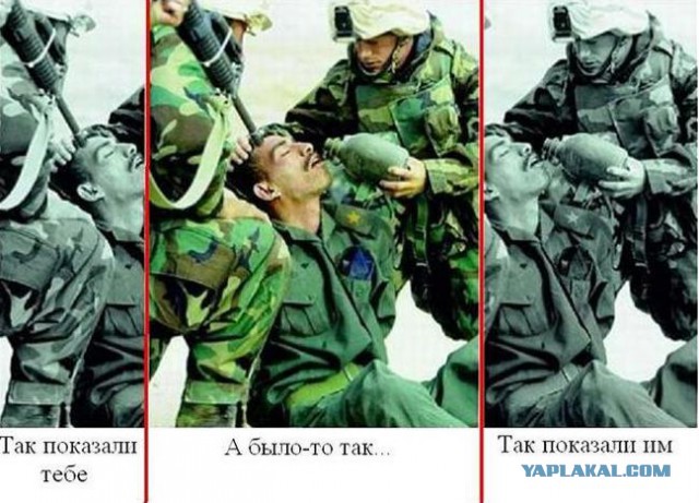 Картинки и приколы из сети