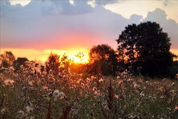 Моменты, запечатлённые на фото и просто позитив 5