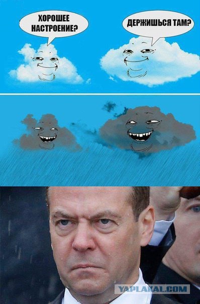 Под дождём