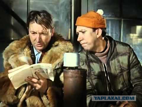 Война без правил. Как защитники животных мстят живодерам
