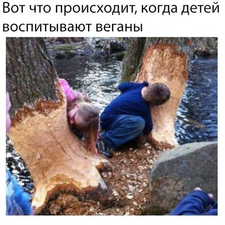 Веган покончил с собой после того, как в него бросили куском мяса