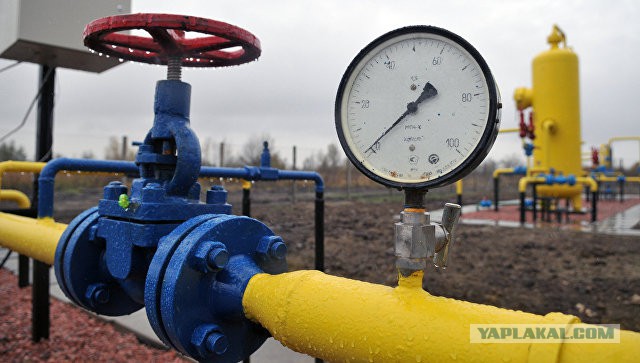Украина купила газ в Европе в четыре раза дороже, чем могла купить у России, а у меня бомбит