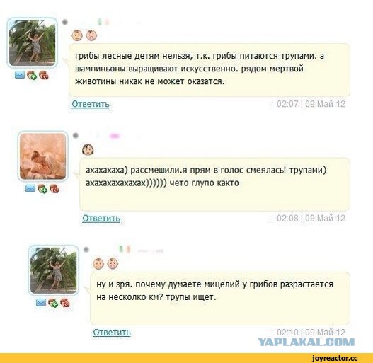 Невероятные факты о грибах