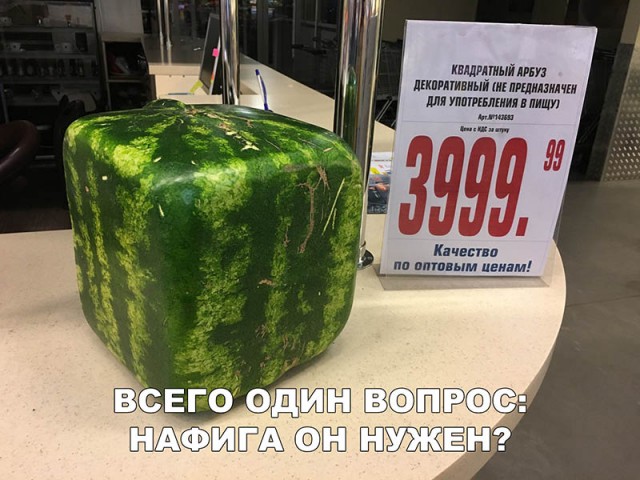 Немного картинок в этот вторник