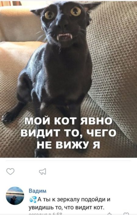 Прикольные комментарии и высказывания из Сети 26.12.2018