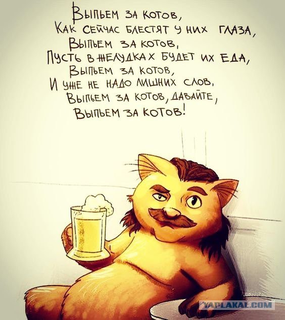 Пакуйте чемоданы