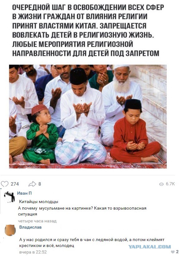 Анекдоты, соц-сети и картинки с надписями