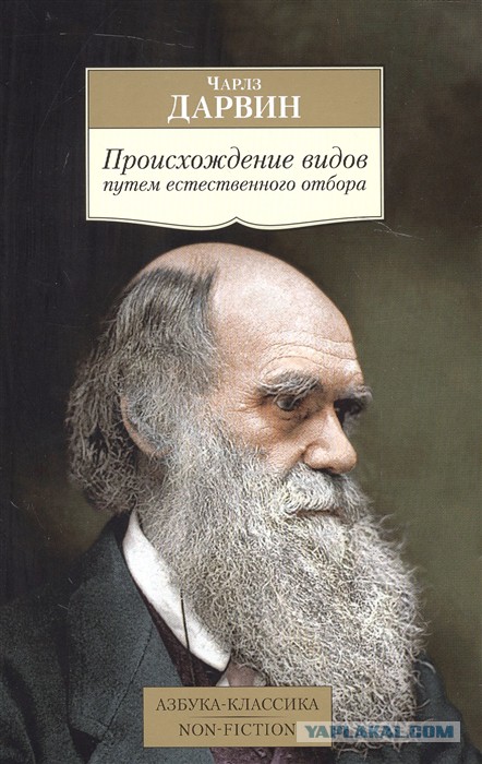 Почему мужчины перестали добиваться девушек