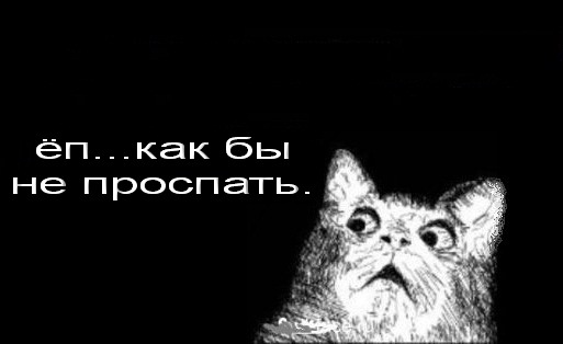 Zhaberbattle v2.0. Попытка номер два
