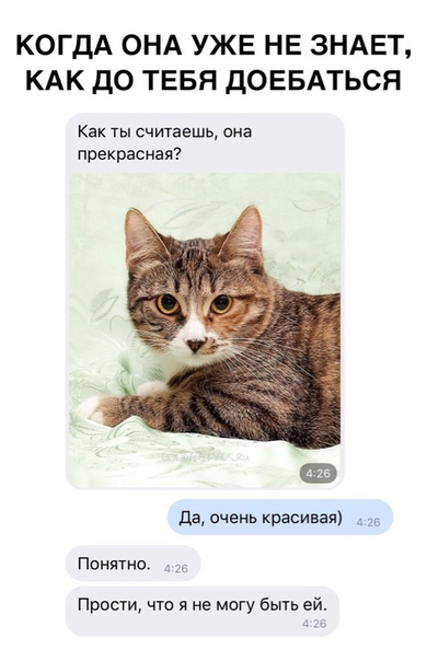 Смотрим, читаем, улыбаемся