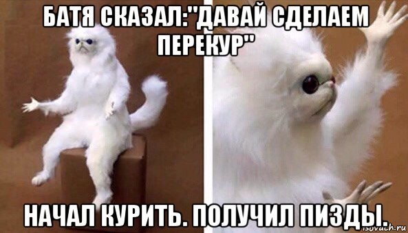 Древние мемы с ВК. Для тех кто забыл #7