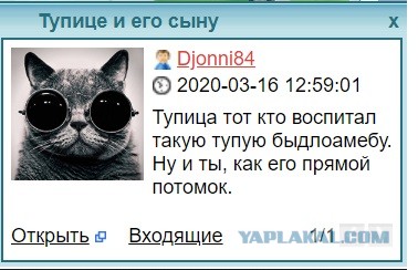 Жизнь домашнего приюта "Котоленд" 222