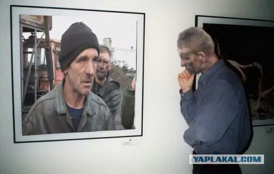 Фотожаба: Молодой ценитель