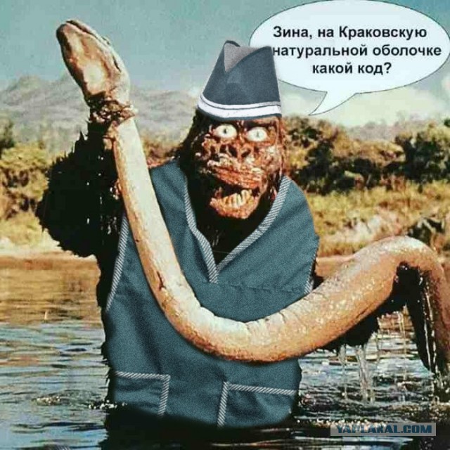 Не очень адекватный юмор 19.08.2020