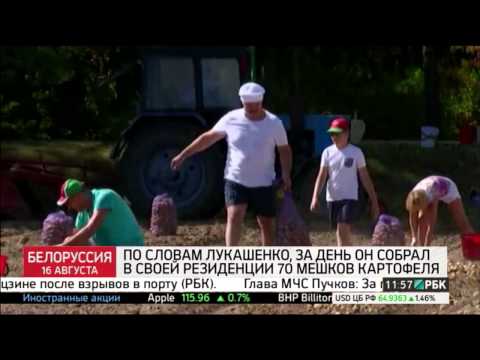 Невероятная атмосфера единства.