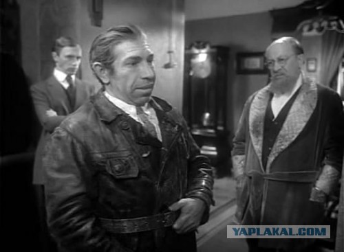 Собачьи стаи в Улан-Удэ