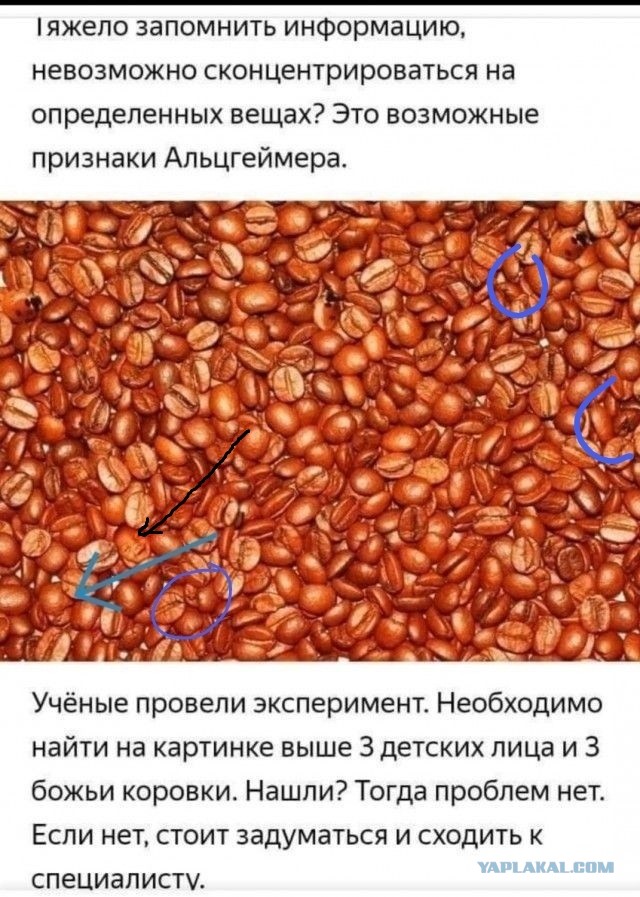 Бредзона 10.02.21