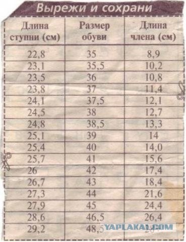 В развале брака "виноваты оба" ?
