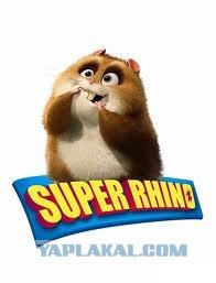 Хомяк на лестнице