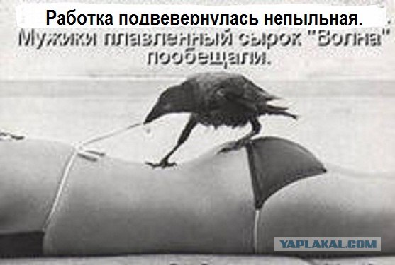 Обклёваные вороны