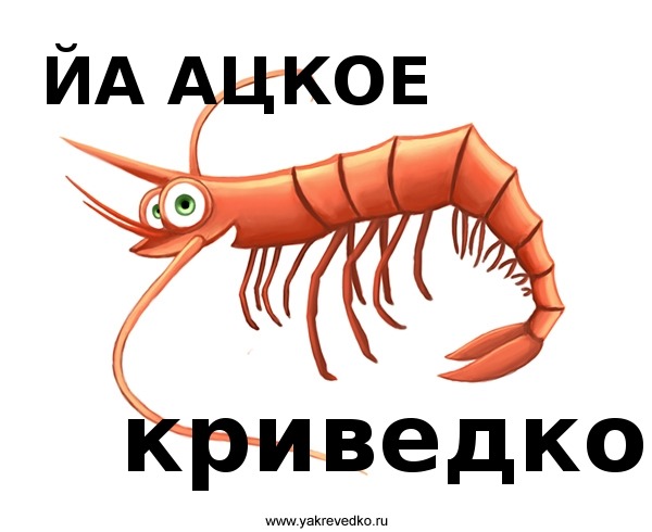 Драка
