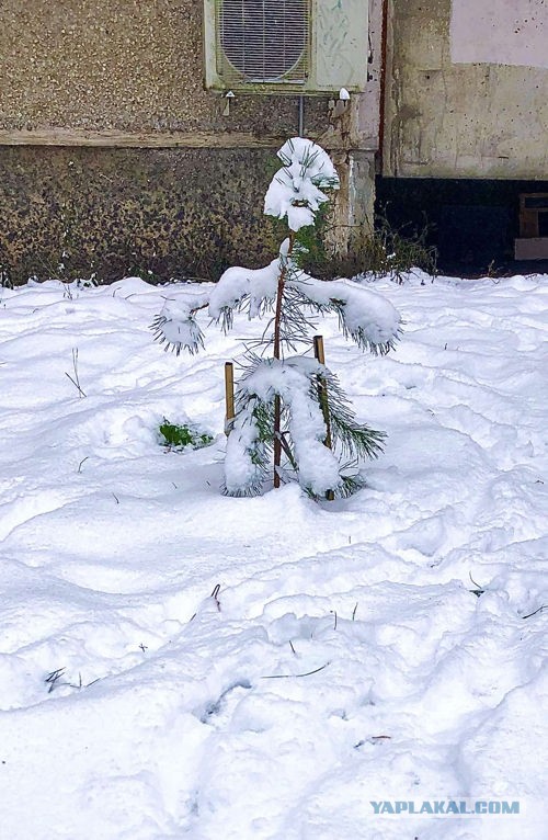 Спасибо