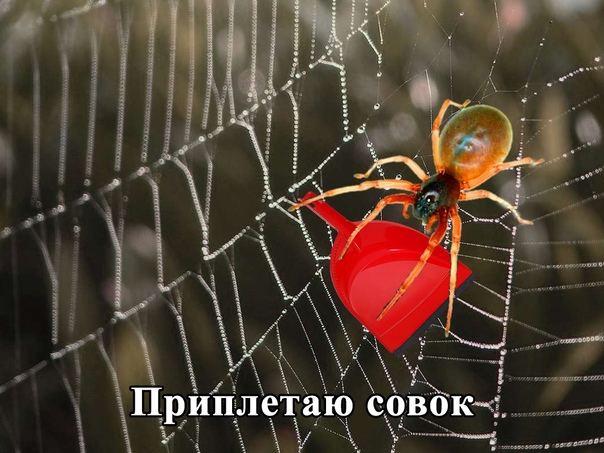 Почему в СССР лечили и удаляли зубы преимущественно без анестезии
