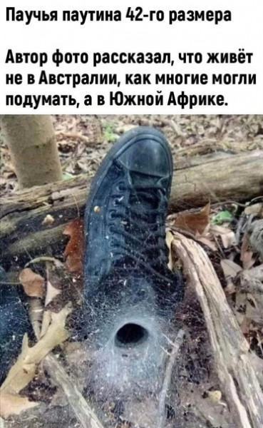 Так себе картинки 19.03.22