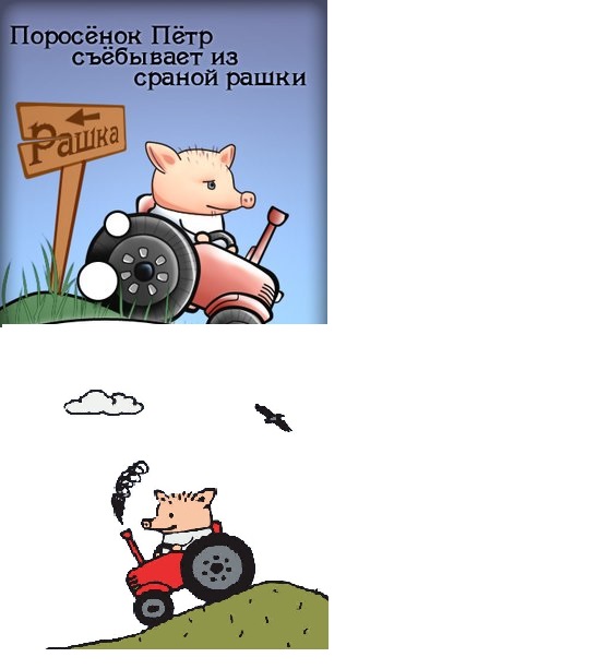 Они возвращаются